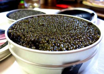 Caviar de Montpon et Neuvic