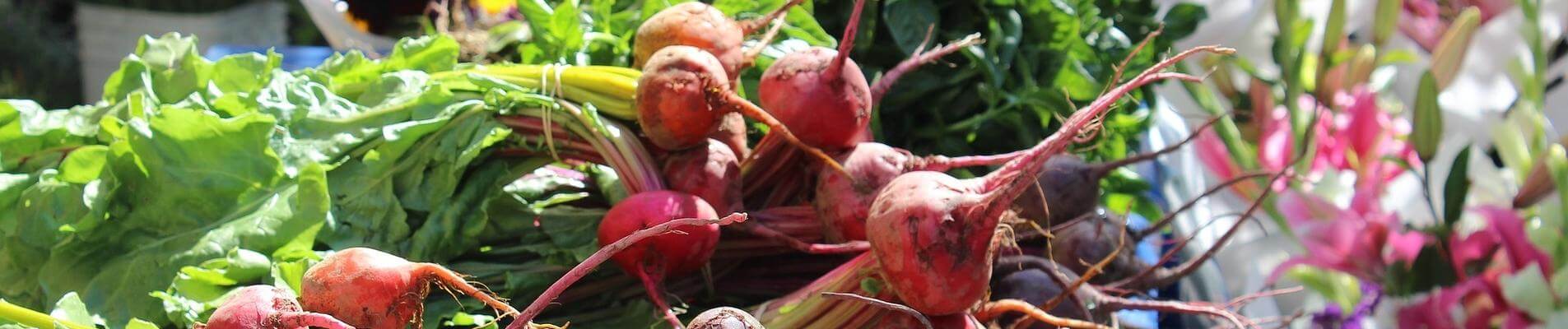 Jours de marché à Périgueux