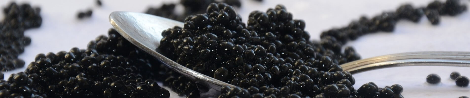 De la rivière Isle au caviar de Neuvic