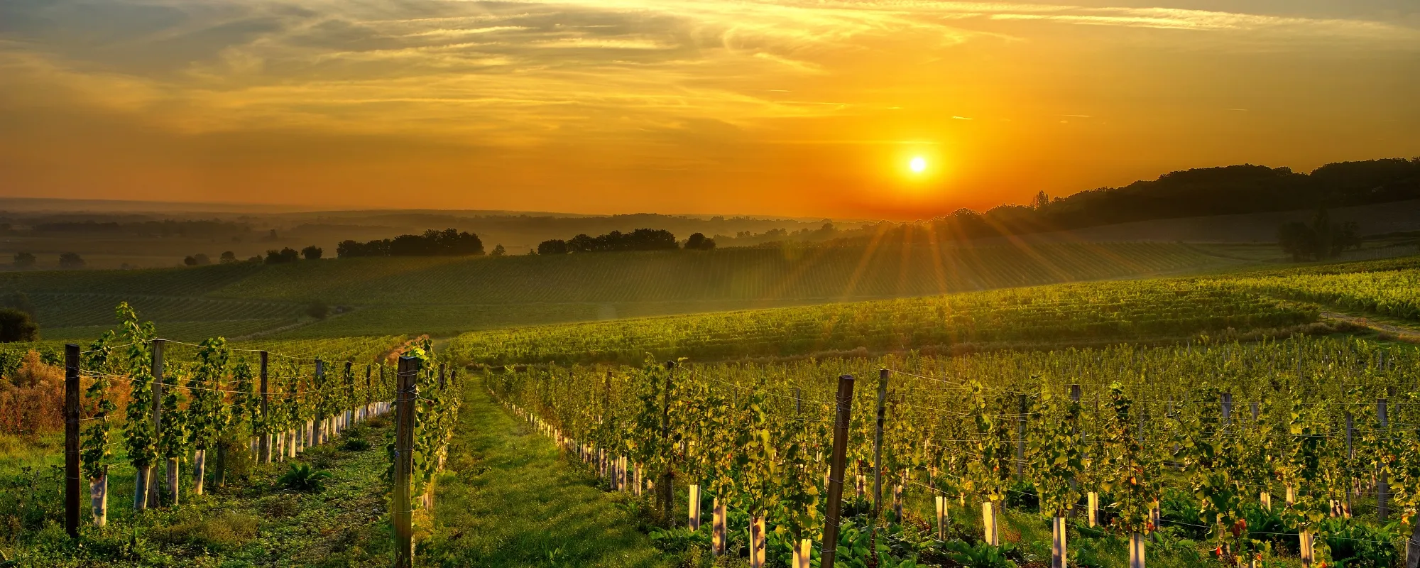 bergerac tourisme