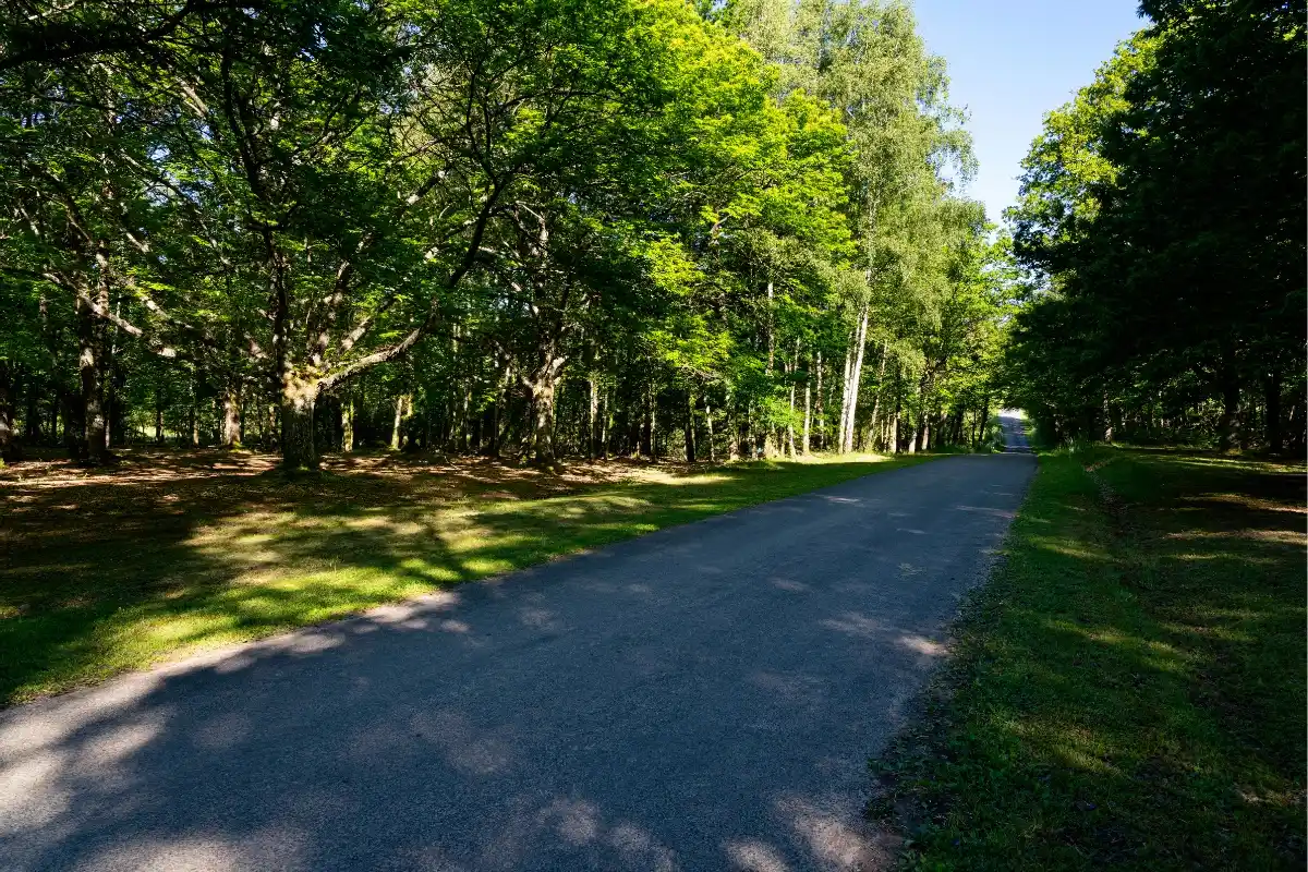 foret dordogne