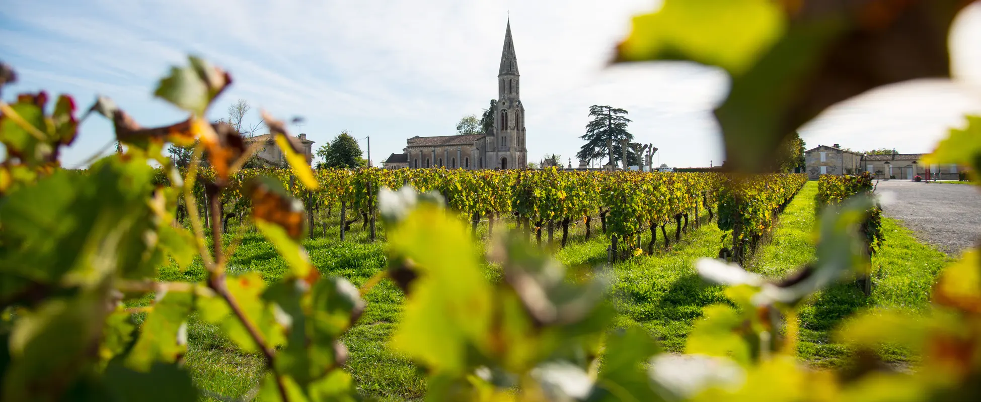 vignoble pomerol
