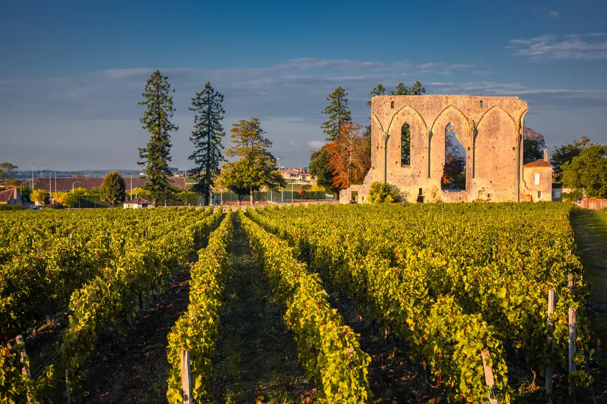 vignoble saint emilion